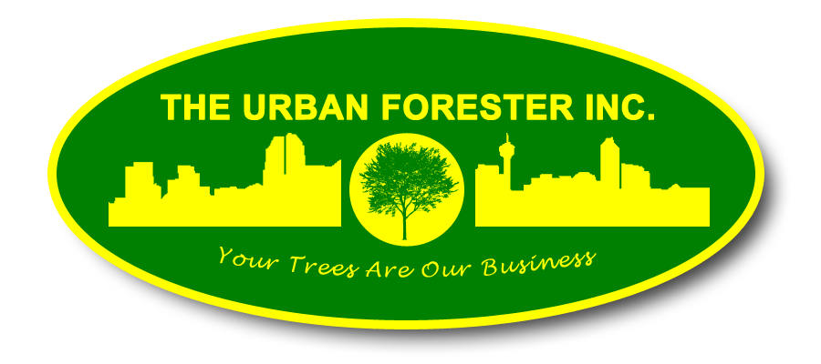 The Urban Forester | Tree Service Arborist Calgary